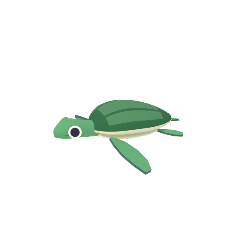 Little Ocean sea turtle